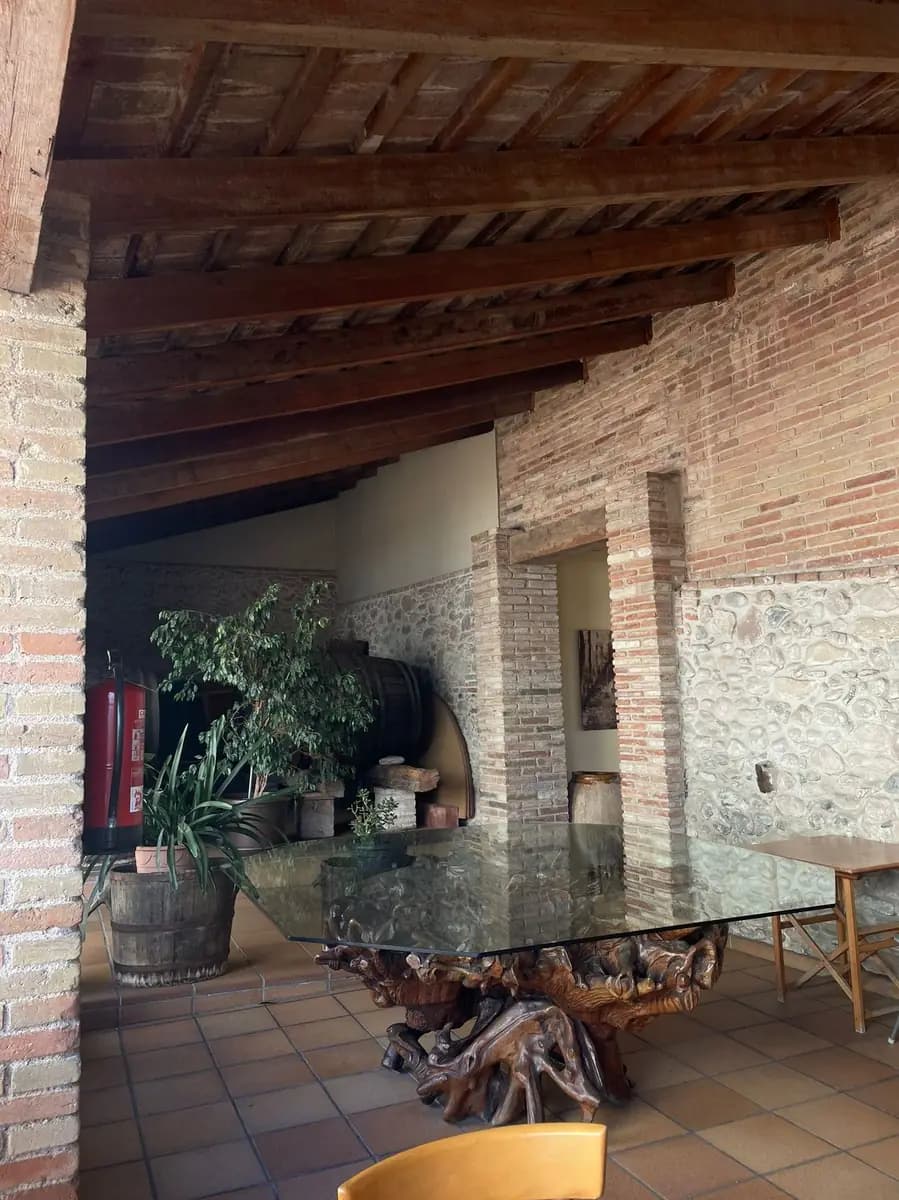 Bodega de vinos